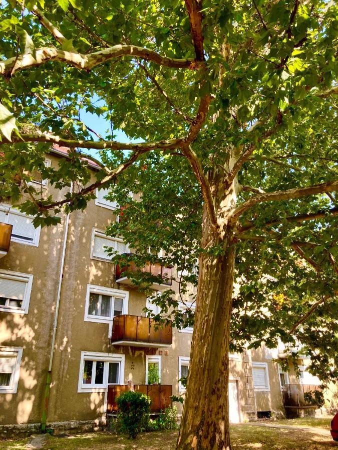 Esther Apartman Tatabánya Exteriör bild